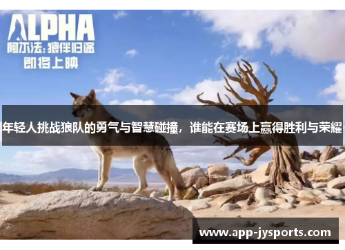 年轻人挑战狼队的勇气与智慧碰撞,谁能在赛场上赢得胜利与荣耀